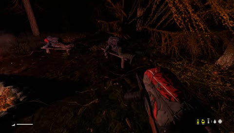 we ready for the pros