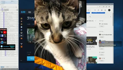 이티의 ㅈㅈ 빌드