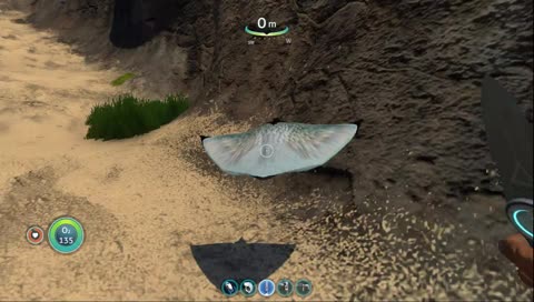 Himmelsrochen´s Rache