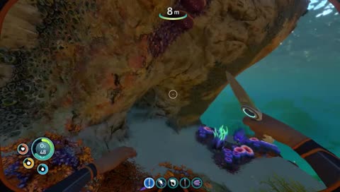 Survey Says: You're a ______!