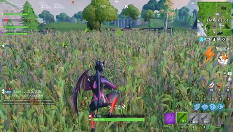 hit markers