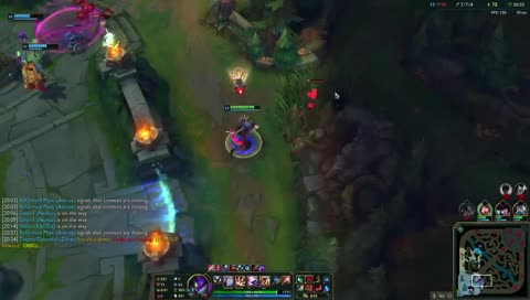 zoom