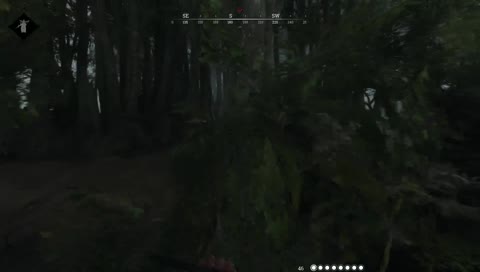 1V2 victory