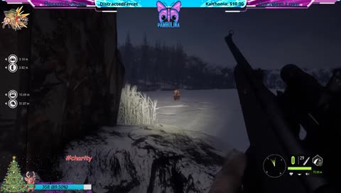 Did anyone catch the license plate of that BEAR!?!?!