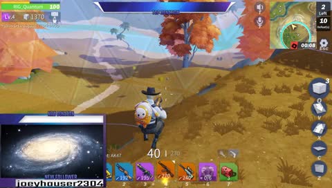 u stupid bush