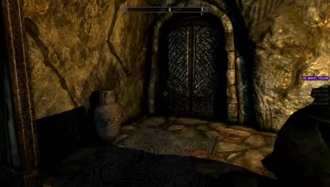Dex's likes traps
