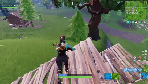 a third llama