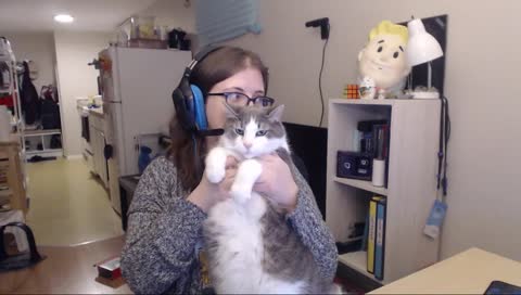 someone call PETA lord please save that cat BibleThump