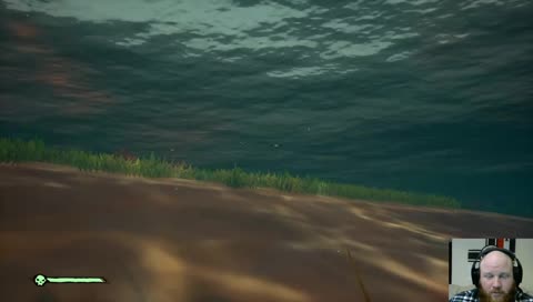 Beached whale