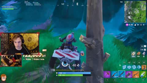 snipe