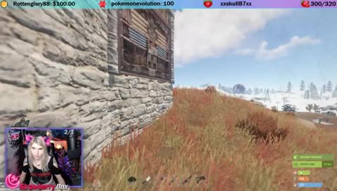 VR Rust
