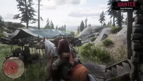 Running from the law