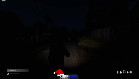 Casual night in DayZ