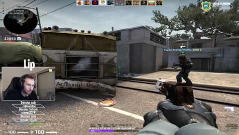 Bug