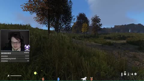 TwitchKittens Raid !!