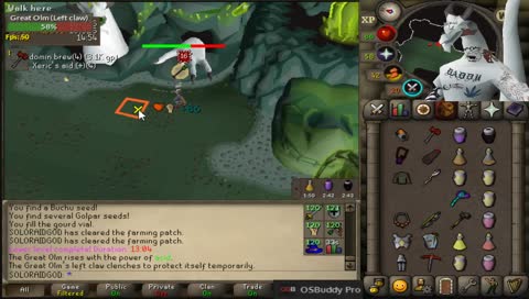 SOLORAIDGOD Acid run