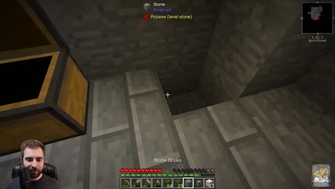 Do it for the pet rock