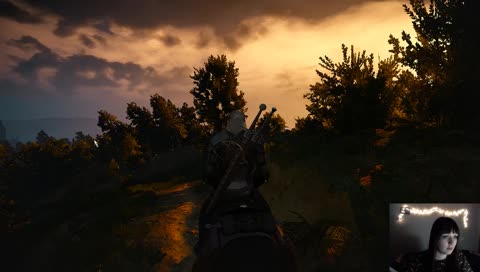 COWБОЙ