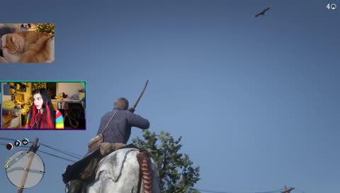 Horse say no for a reason