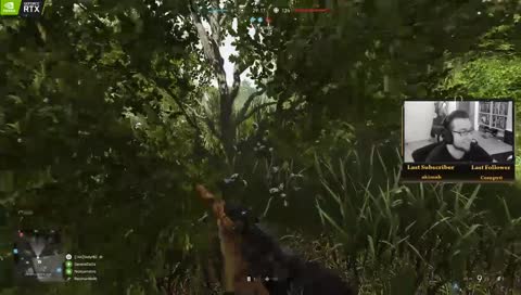 quality gameplay