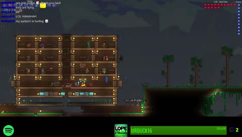 nice wolves good wolves