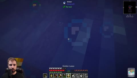 Flying Squid
