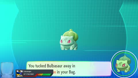 shiny balbusour