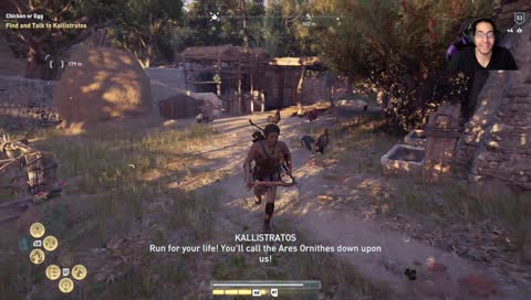 When Roosters Attack
