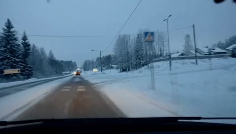 Christmas tree in the woods!