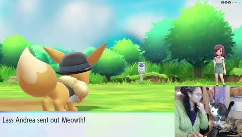 A Wild Catbutt Appears