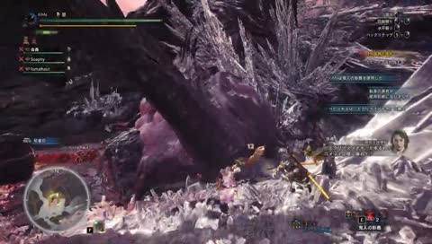 ベヒモスに弾かれてメテオ炸裂ｗ