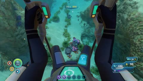 Local fish puncher on the run 