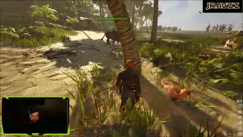 An aggressive animal.