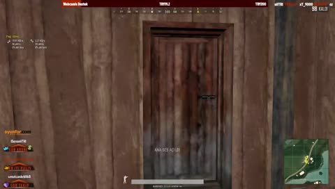 Güzel Bug