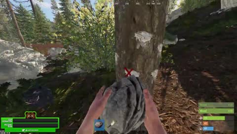 a bear afraid of pigs