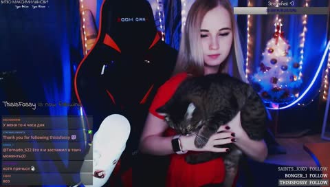 Кошачий кайф:)