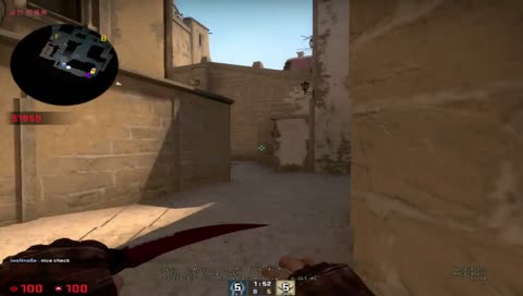 5ewin 배치 에이스 