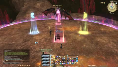 The Hamster & The Bee