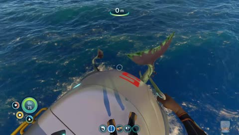 The day you almost caught Captain Jack Sparrow