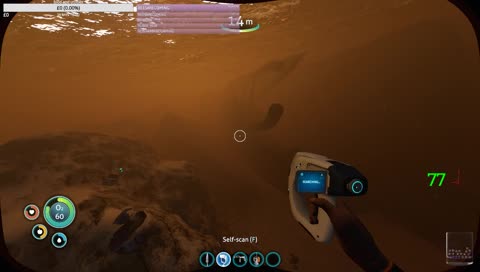 Cute little fishy friend