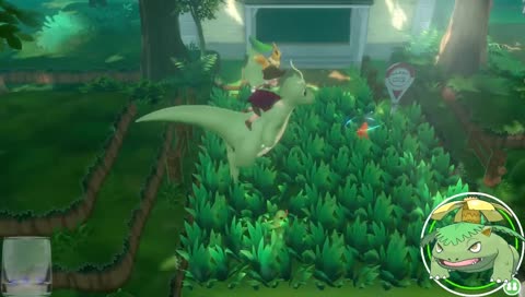 Shiny Metapod HYPE!!!!!!!!