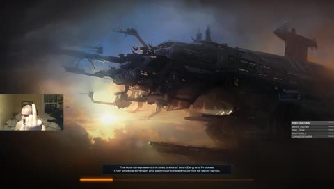 Streamer is a casual