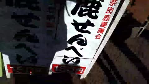 [일본여행]사슴야캐요(탄의대가)