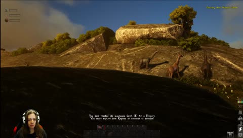 Ask and thine receive... a tree!!!