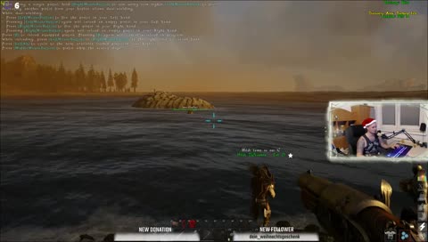 Bullen erschießen statt zähmen