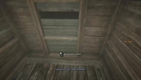 20iq стример