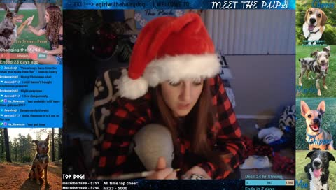 What did I just say?