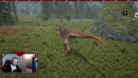 Mennääs kattoo toi ääni.. Eiku haneen!!!