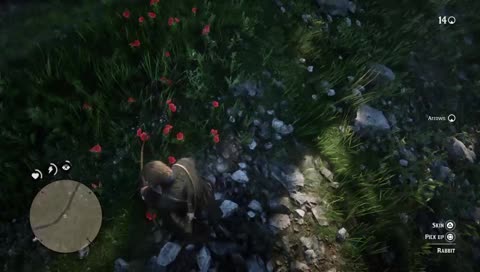 Apologizing to dead animals







