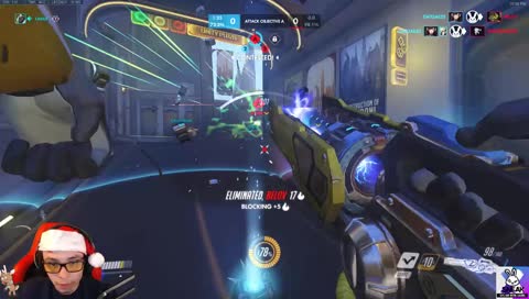 Lasius Nuts On Stream